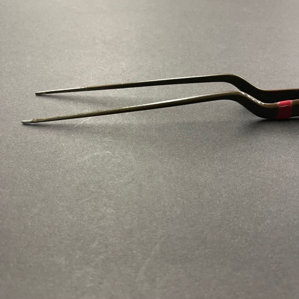 Picture of ESU Bipolar forceps