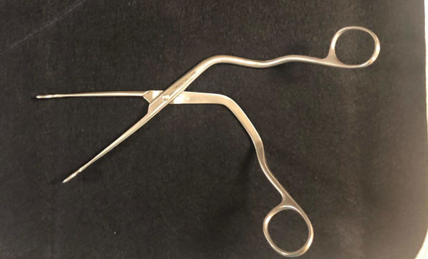 Picture of Muller Magill S dental Forceps 9”